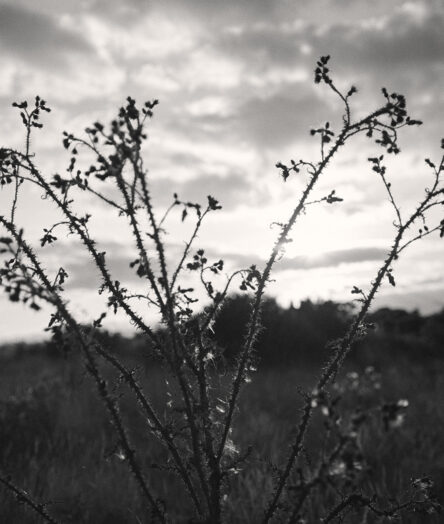 Cabilla - Cornwall - Wellness - Retreat