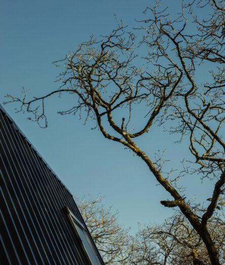 Cabilla - Cornwall - Wellness - Retreat